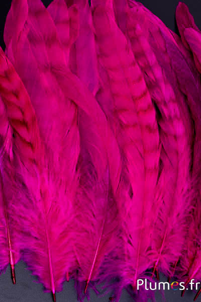 Coq fouet chinchilla blanchi - 13-18 cm - fuchsia brun